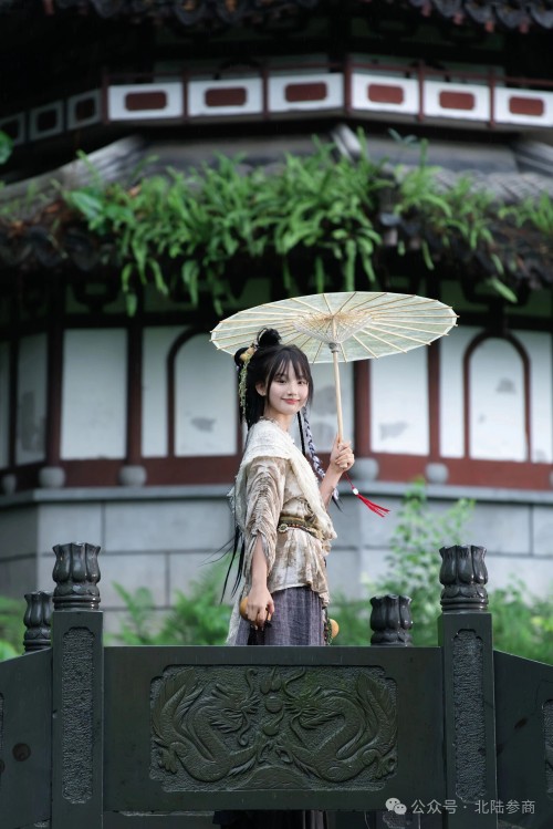 丐帮女侠